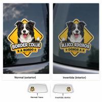 Pegatina "Border Collie a bordo"