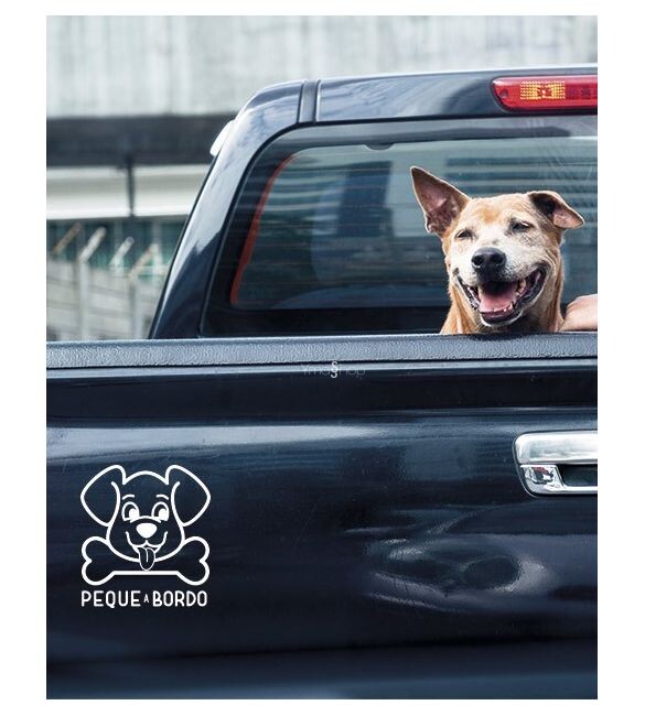 Pegatina Peque a Bordo