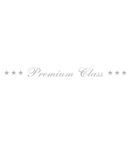 Logotipo Premiun Class